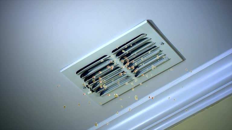 Best Ductwork Cleaning Services  in Daleville, VA