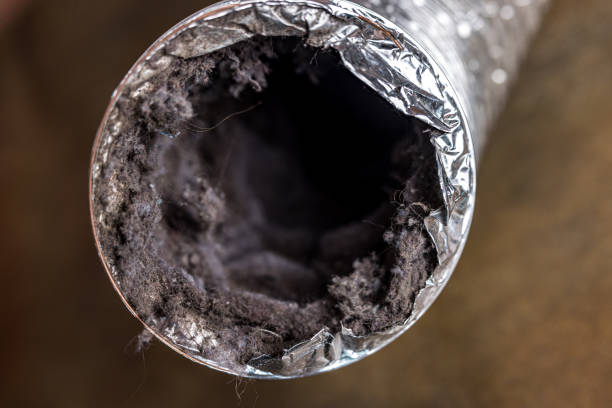 Best Residential Air Duct Cleaning  in Daleville, VA