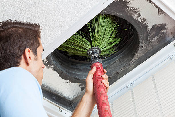 Best Duct Cleaning Specialists  in Daleville, VA